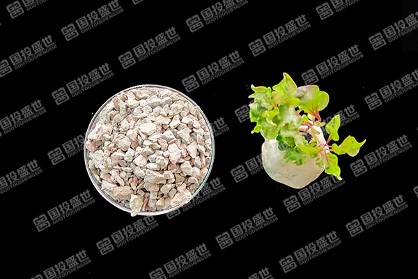 沸石能否成為水稻種植的綠色伙伴？-國投盛世
