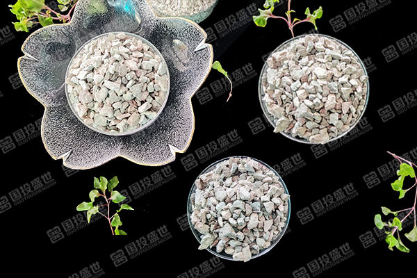 玉米種植中應(yīng)選擇沸石粉還是沸石顆粒？-國(guó)投盛世