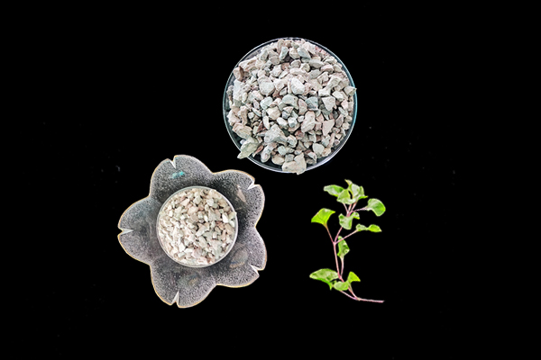 天然沸石對花生種植有何影響？