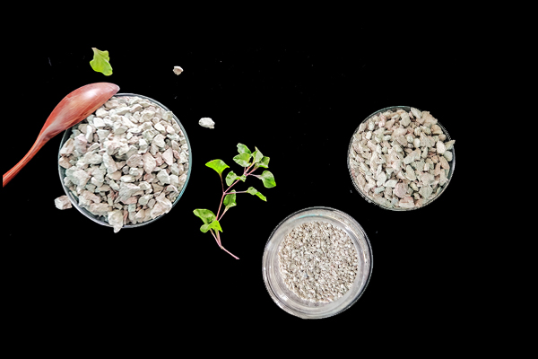 何時(shí)添加沸石于大麥種植最有效？
